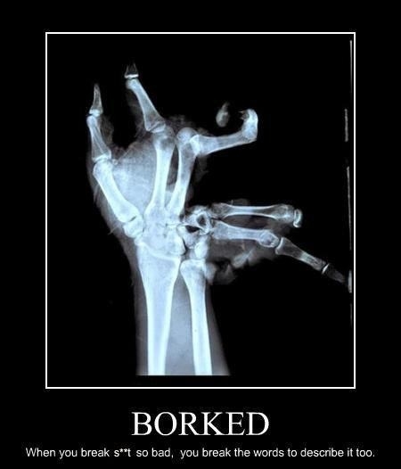 Borked