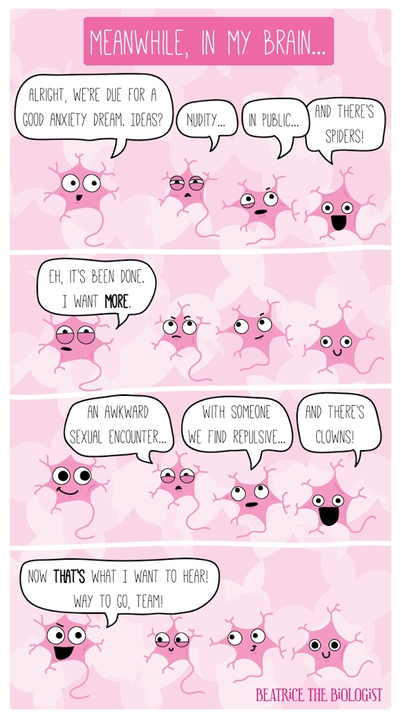 Meanwhile in my brain..