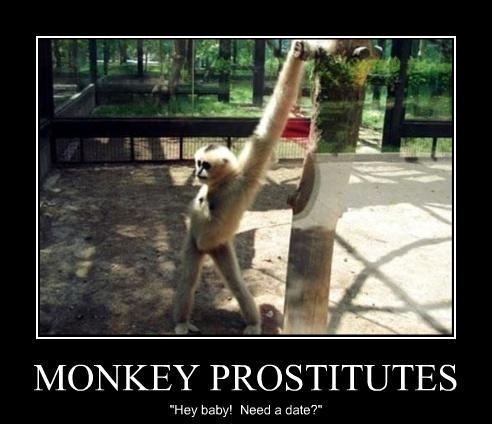Monkey business
