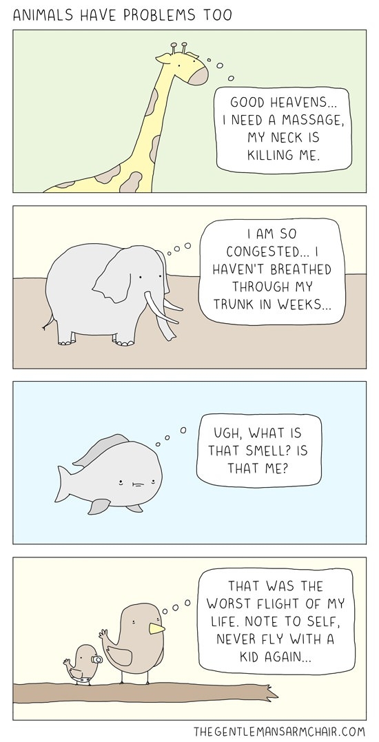 Animals have problems too