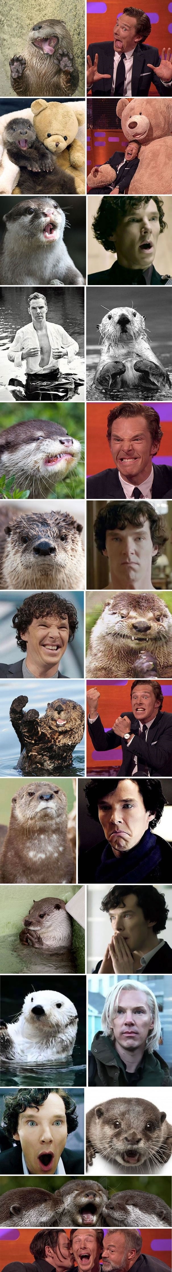 Benedict the otter