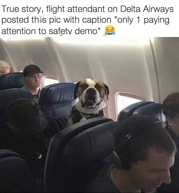 He takes safety seriously