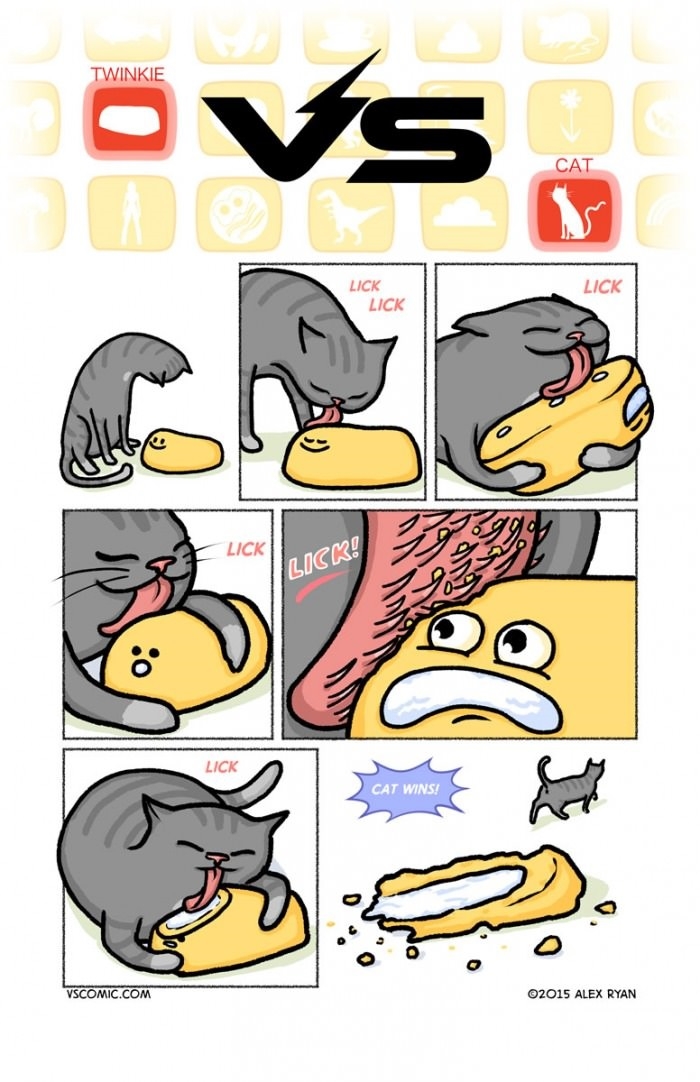 Twinkie vs cat
