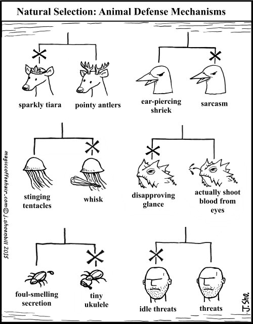 Natural selection