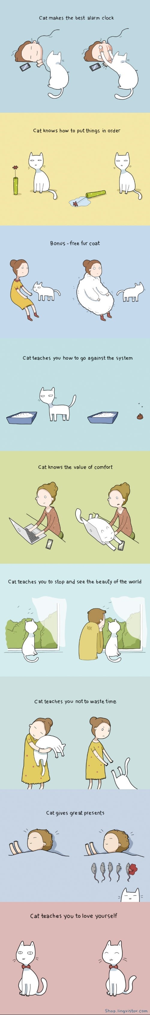 Benefits of having a cat