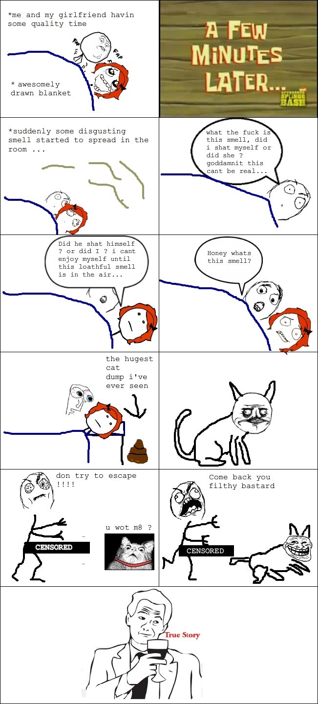 Own a cat they said..