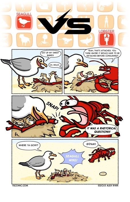 Seagull vs. Lobster