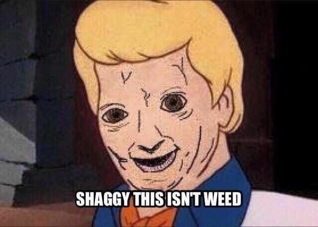 Wtf you give me, Shaggy?