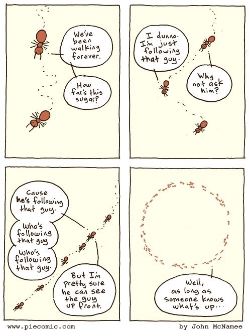 Why ants aren't in charge