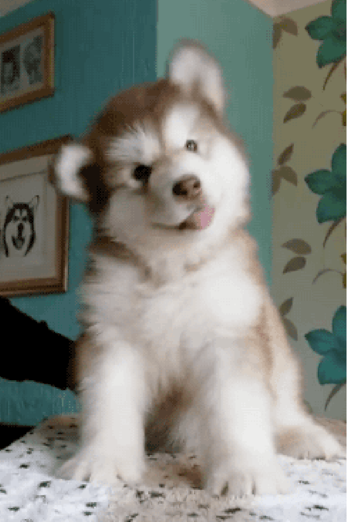 Sooo cute