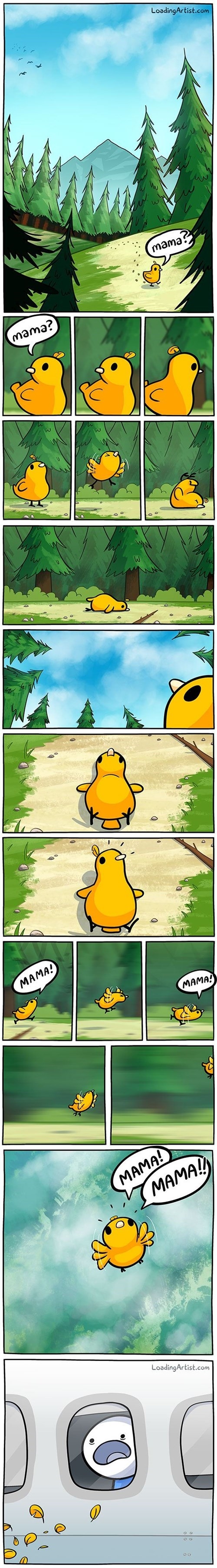 Indifference of nature