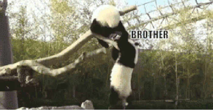 Brother!