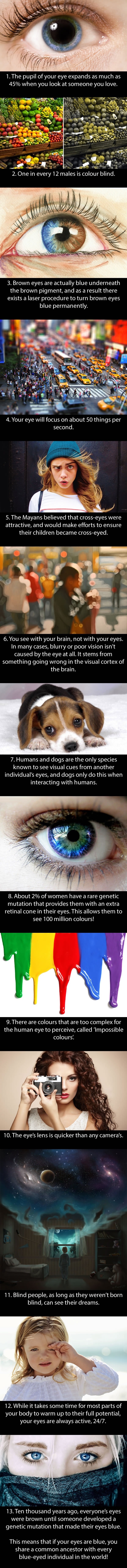 Facts about your eyes