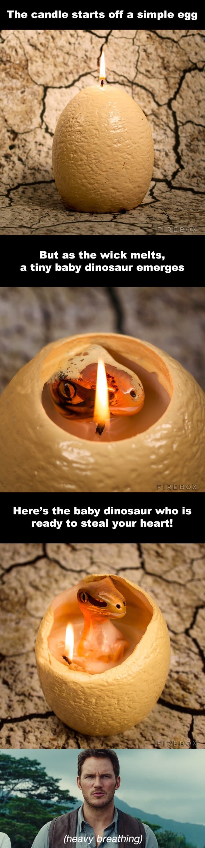 Dinosaur egg candle