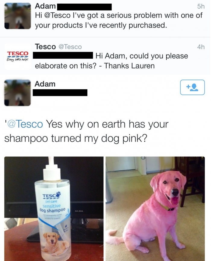 Dog shampoo fail