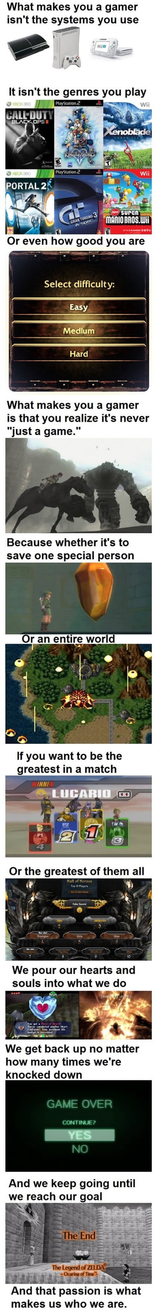 Gaming master race ftw!
