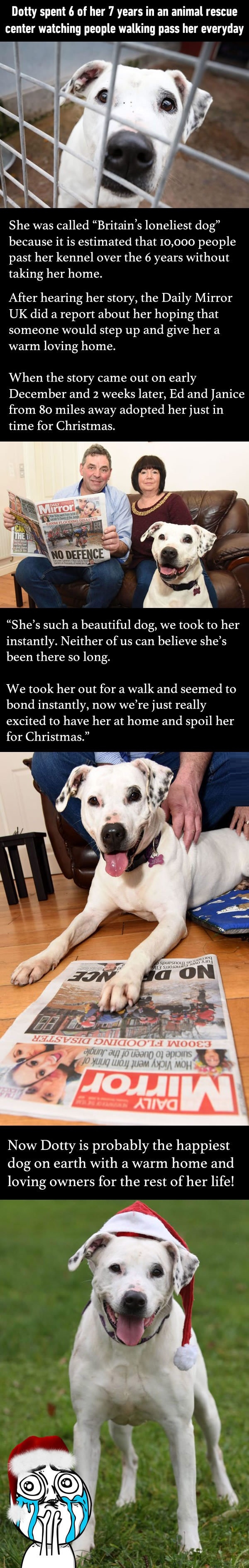 Loneliest dog in Britain