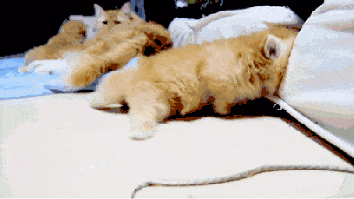 Struggling to get comfy