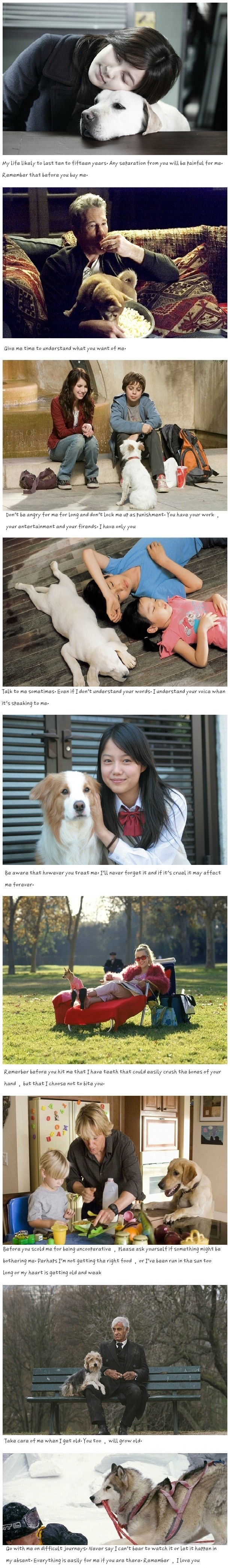 Read this about dogs