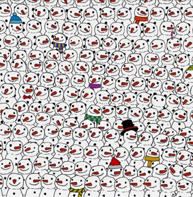 Find the panda