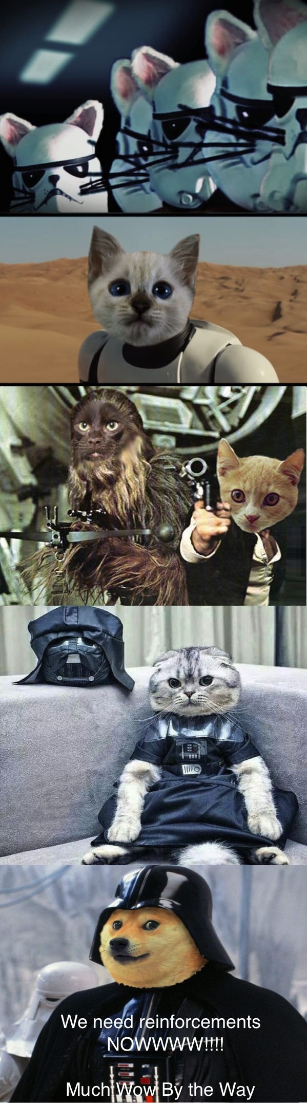 We need the doge army