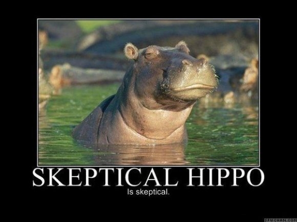 Skeptical Hippo