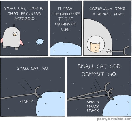 Small cat and asteroid