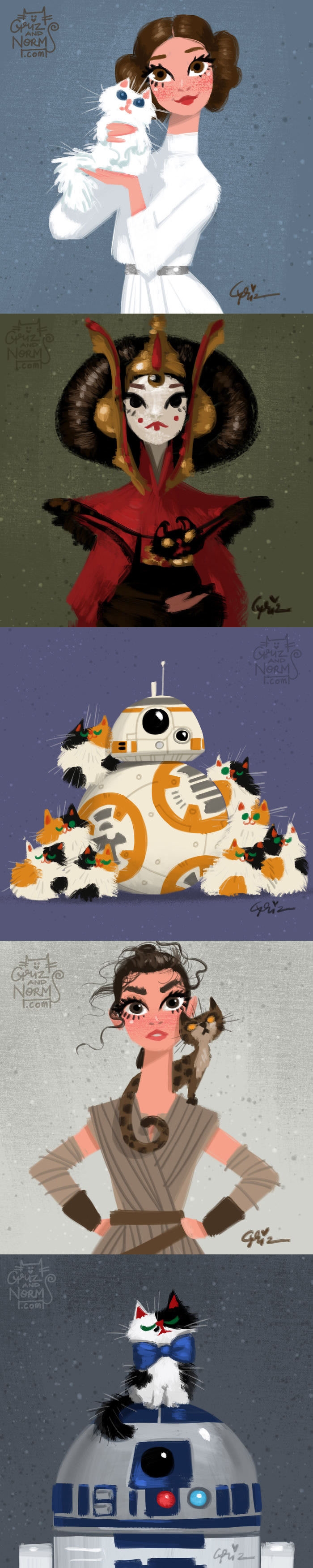 Star wars with cats