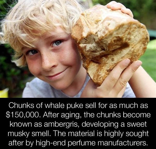 Whale puke