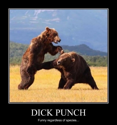 Punch