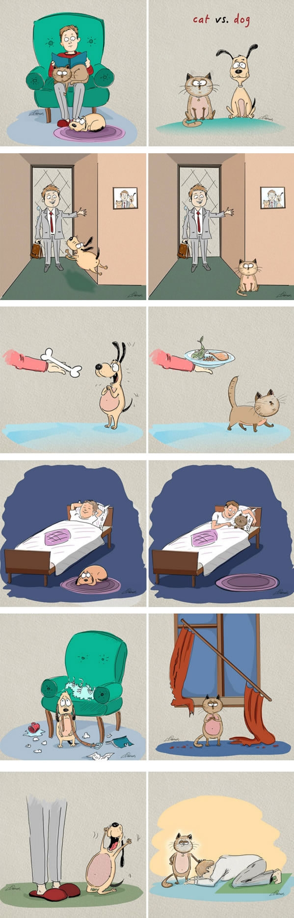 Cats Vs Dogs