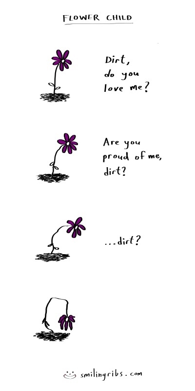 Why flowers face the sun