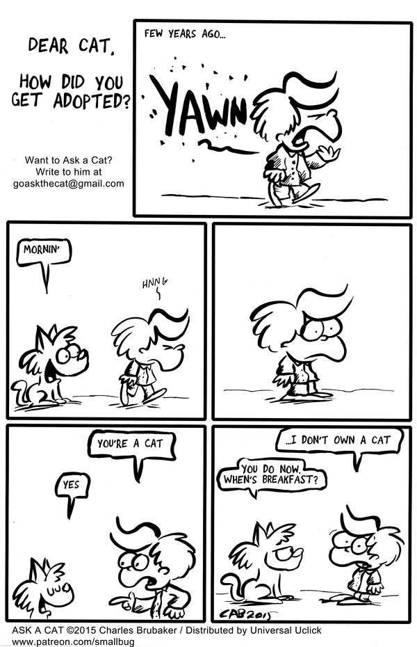 Typical way to get a cat