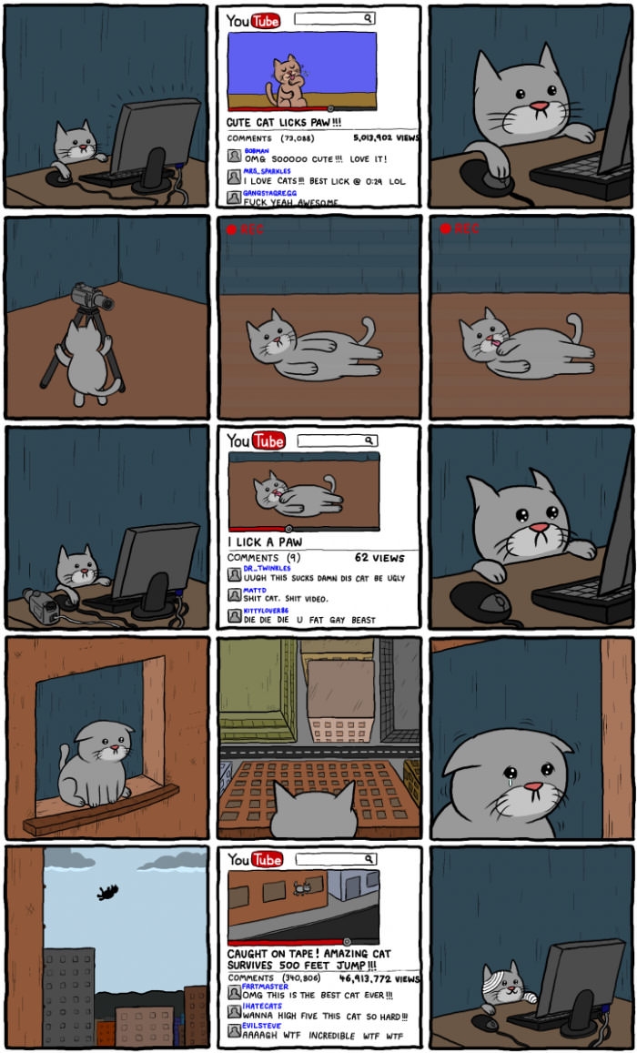 Cat learns harsh reality