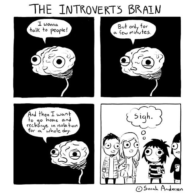 The introvert's brain