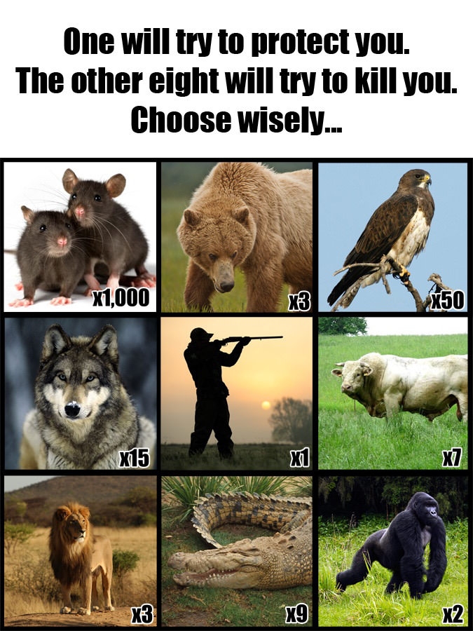 Choose wisely...
