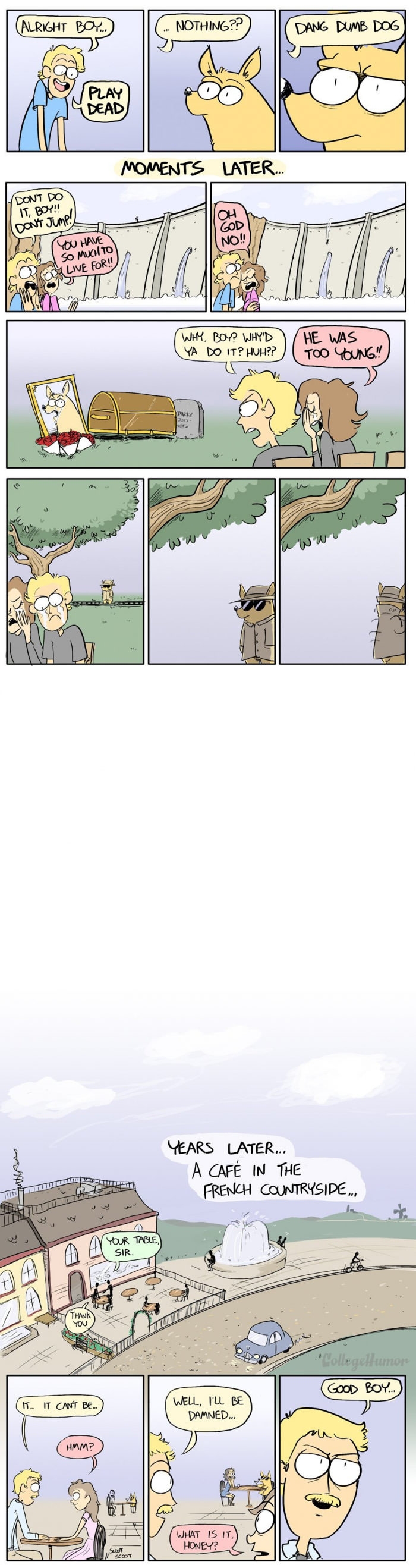 Greatest dog trick in history