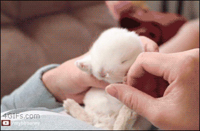 Nothing cuter than this