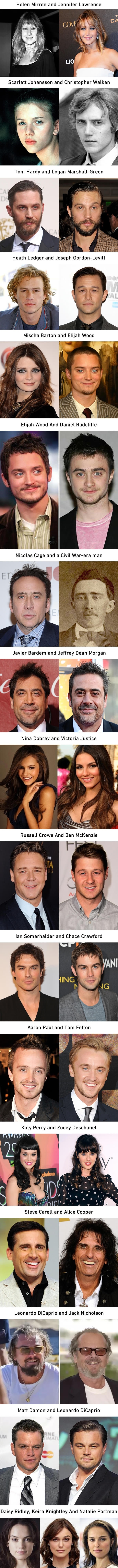 Celebs that look alike