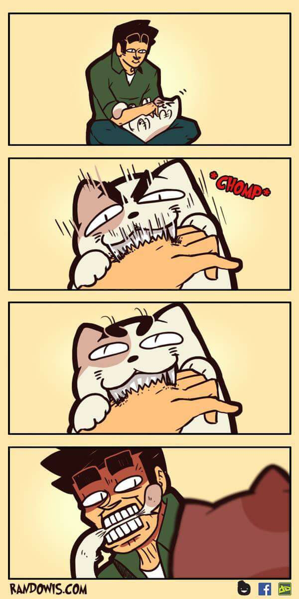 Hooman can bite cat too