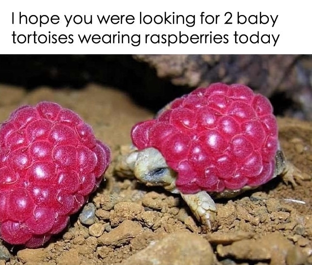 If you're having a bad day