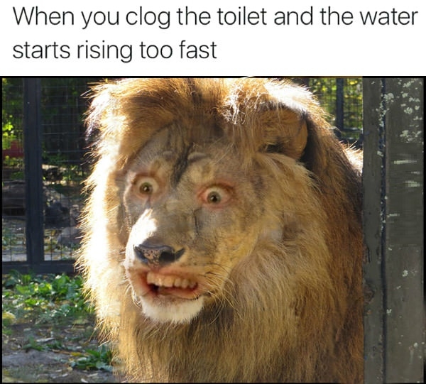 Instant bone chilling fear