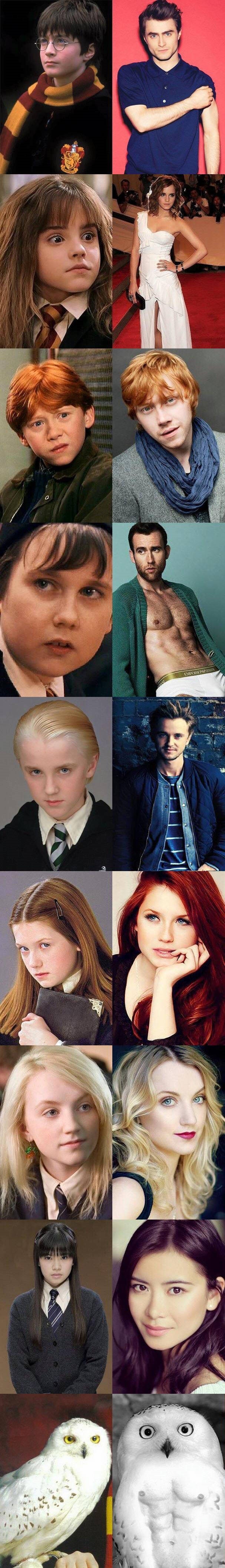 Hogwarts then and now