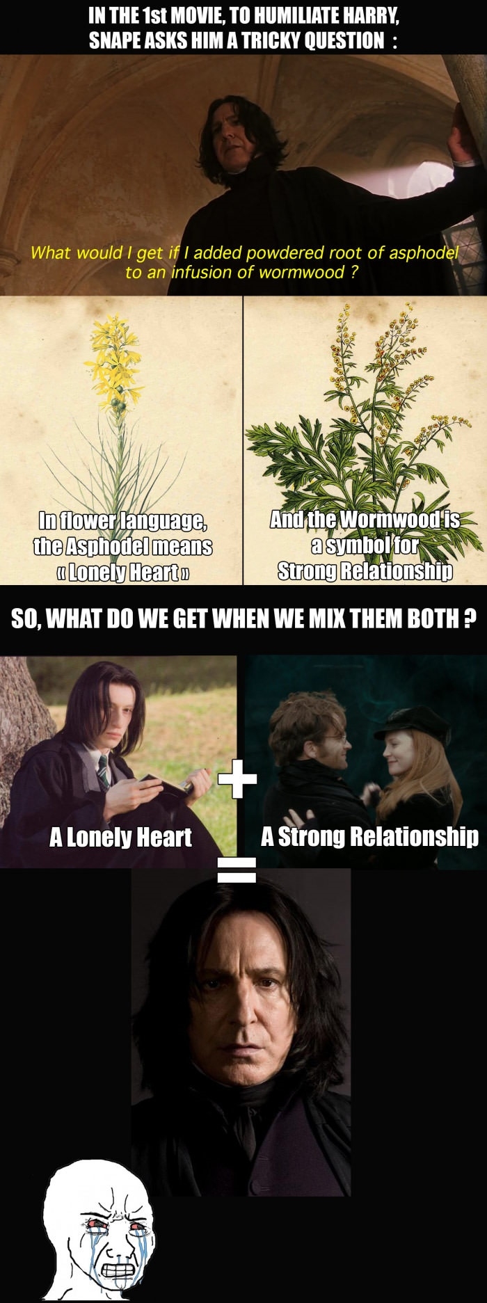 Harry Potter feels zone