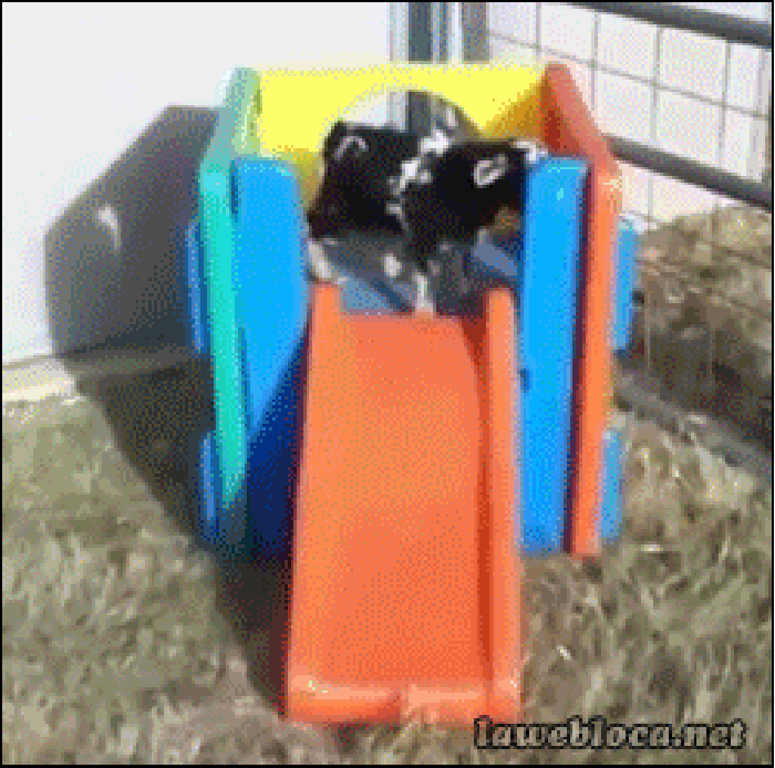 Wheee! oops!