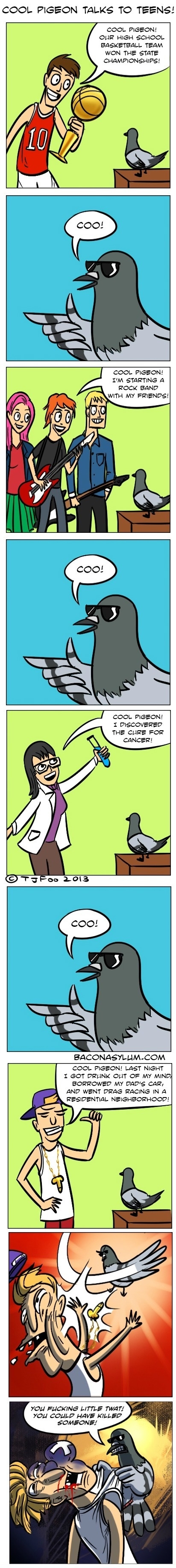 Cool Pigeon