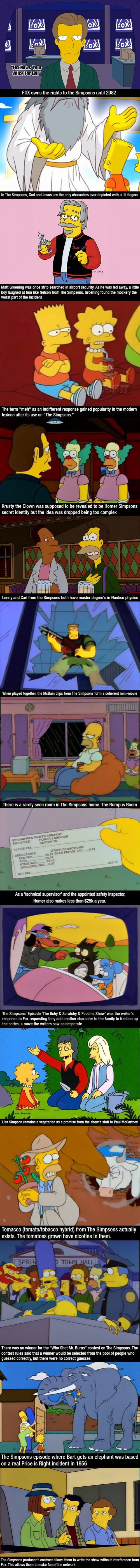 Simpsons facts