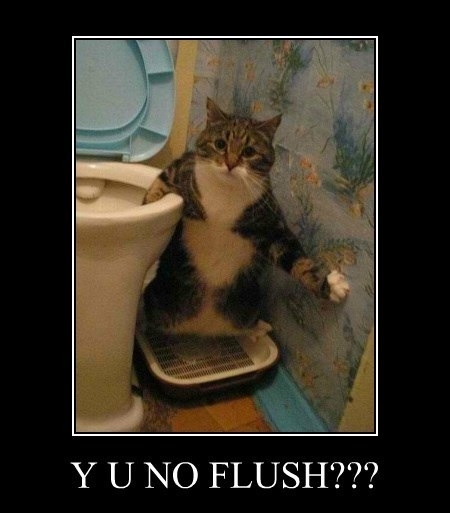 Y U NO FLUSH?