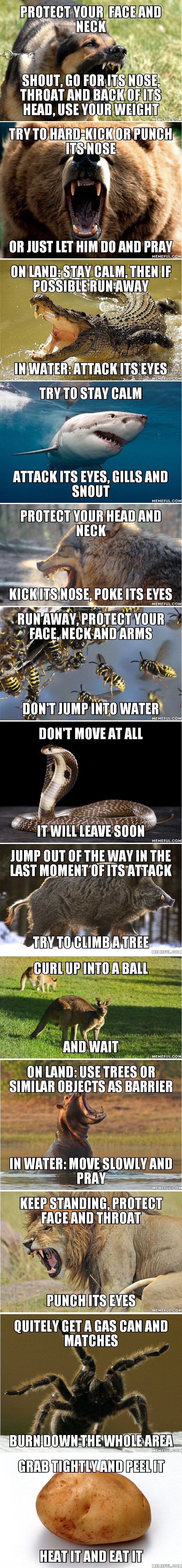 Can't avoid close combat?