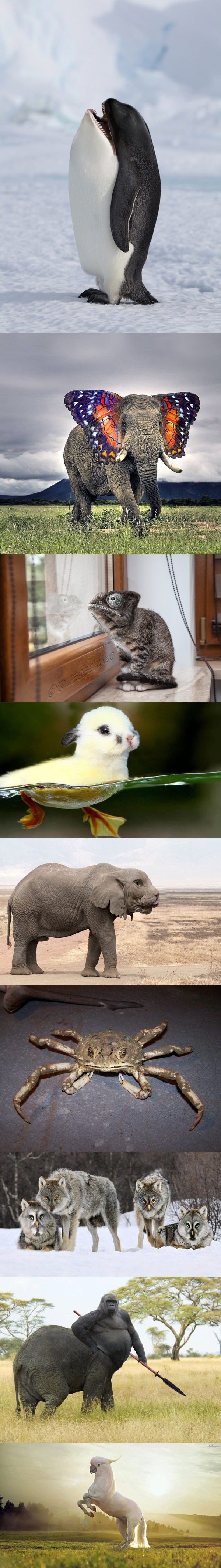 Glorious photoshop